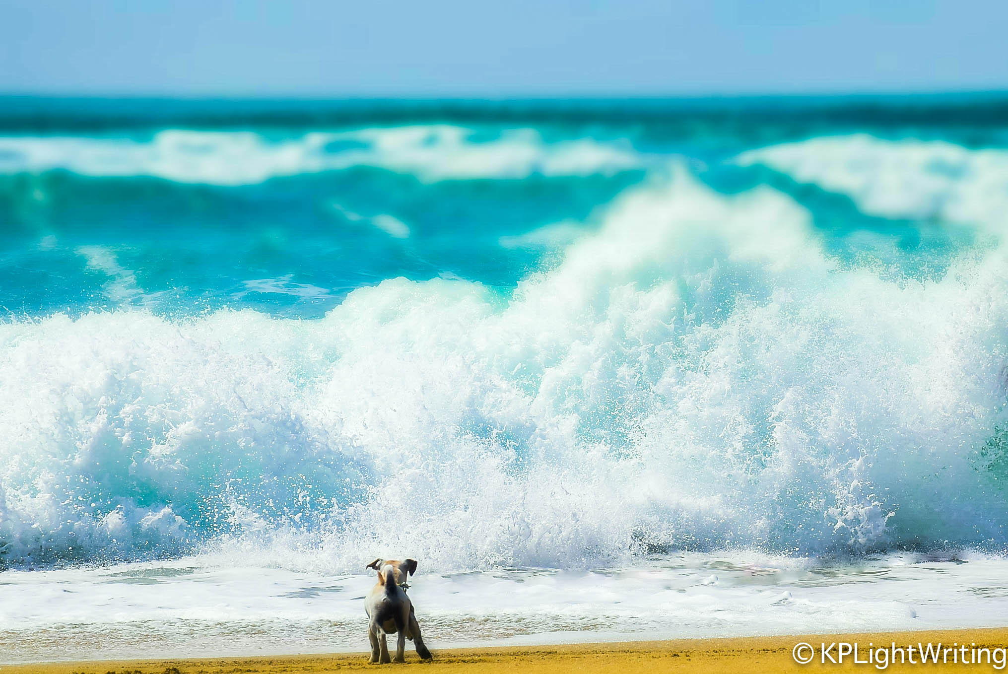 Waves_Montara_Beach_Lulu